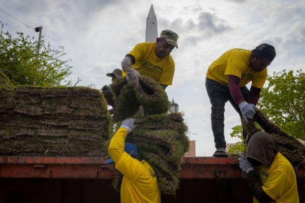 Plaza de la República tendrá grama natural