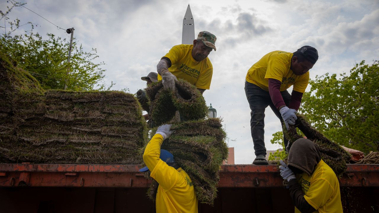 Plaza de la República tendrá grama natural