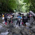 118 migrantes cruzaron el Darién