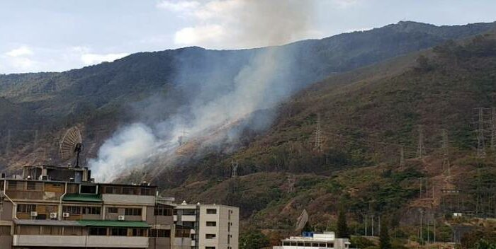 protección forestal en Venezuela