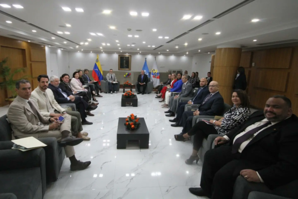 panel de expertos electorales de la ONU