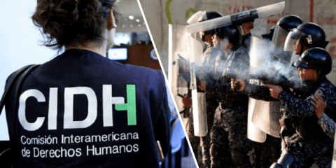 Comisión Interamericana de Derechos Humanos (CIDH)