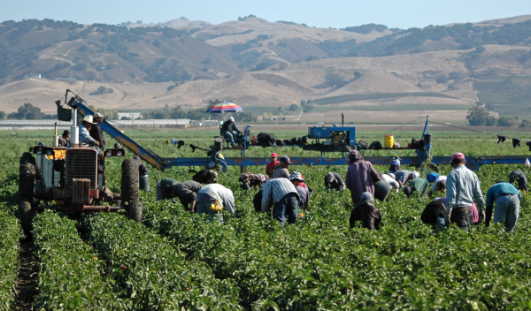 Estiman que más de 2.000 agricultores han dejado sus actividades