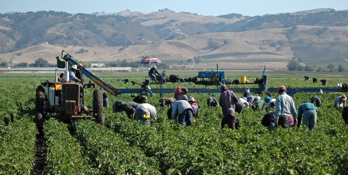 Estiman que más de 2.000 agricultores han dejado sus actividades