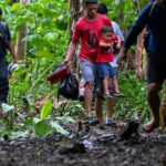 Panamá | Cae un 40% el ingreso de migrantes irregulares a través de la selva del Darién