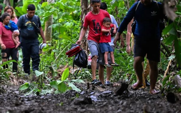 Panamá | Cae un 40% el ingreso de migrantes irregulares a través de la selva del Darién