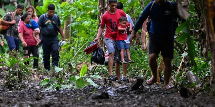 Panamá | Cae un 40% el ingreso de migrantes irregulares a través de la selva del Darién