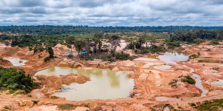 SOS Orinoco estima 65.985 hectáreas afectadas por minería ilegal en la Amazonía venezolana