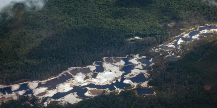 Guyana asegura que vigila su frontera porque prevé «avalancha» de migrantes de Venezuela