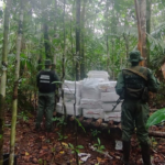 FANB incauta 5.000 kilos de marihuana en Amazonas