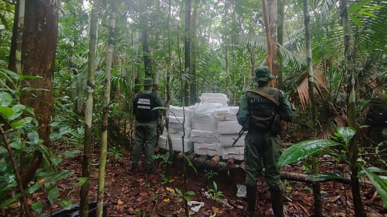 FANB incauta 5.000 kilos de marihuana en Amazonas