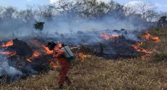 Mérida | Dos personas fueron detenidas por causar incendios en zona protegida