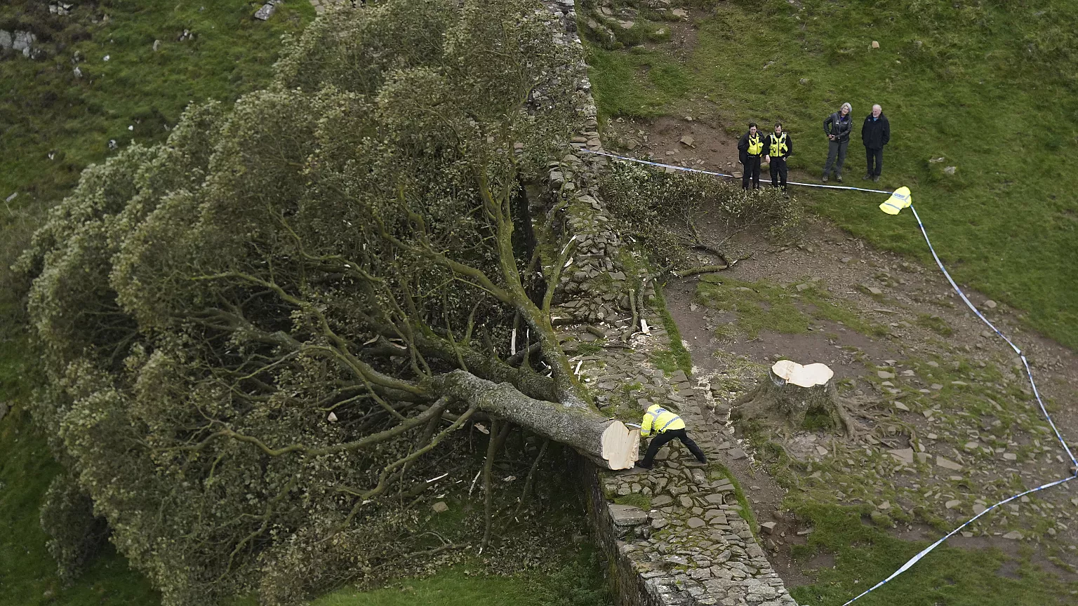 Condenados a prisión dos hombres por destruir con motosierra el emblemático árbol de Sycamore Gap en Inglaterra