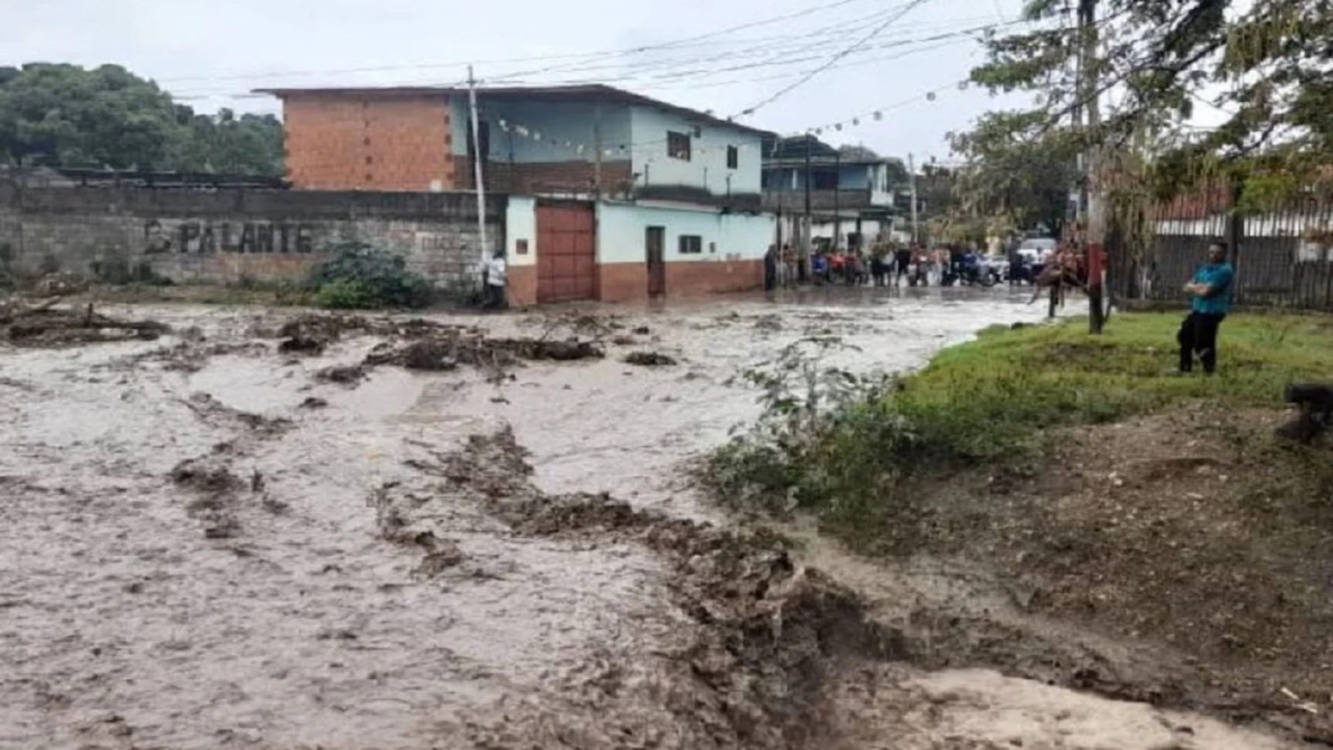 Más de 1.500 damnificados por desbordamiento del Orinoco: comunidades exigen atención urgente