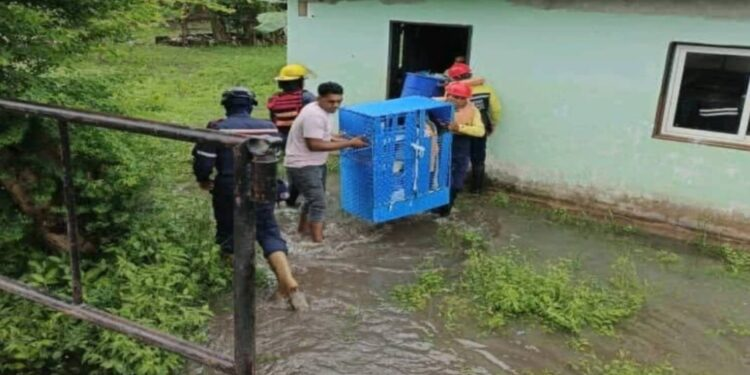 171 familias fueron trasladadas a refugios temporales en Amazonas por la crecida del río Orinoco